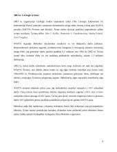 Regioniniai prekybiniai susitarimai 8 puslapis