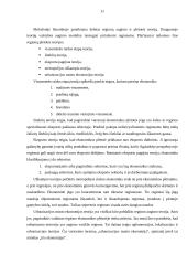 Regiono samprata ir regionalizacijos procesas Europoje 11 puslapis