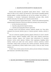 Regiono samprata ir regionalizacijos procesas Europoje 12 puslapis