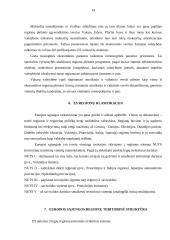 Regiono samprata ir regionalizacijos procesas Europoje 14 puslapis