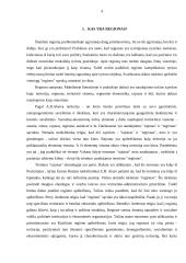 Regiono samprata ir regionalizacijos procesas Europoje 4 puslapis