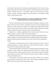 Regiono samprata ir regionalizacijos procesas Europoje 7 puslapis