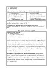 Medžiagų apykaita ir pernaša (konspektas) 2 puslapis