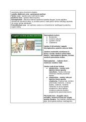 Medžiagų apykaita ir pernaša (konspektas) 11 puslapis