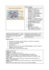 Medžiagų apykaita ir pernaša (konspektas) 12 puslapis