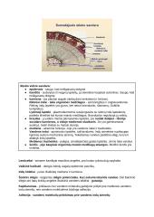 Medžiagų apykaita ir pernaša (konspektas) 14 puslapis