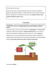Medžiagų apykaita ir pernaša (konspektas) 18 puslapis