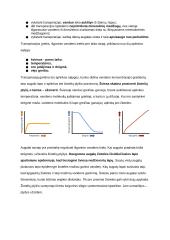Medžiagų apykaita ir pernaša (konspektas) 19 puslapis