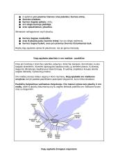 Medžiagų apykaita ir pernaša (konspektas) 4 puslapis