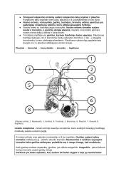 Medžiagų apykaita ir pernaša (konspektas) 5 puslapis