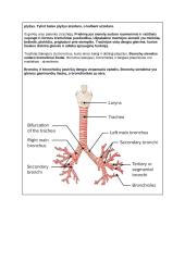 Medžiagų apykaita ir pernaša (konspektas) 6 puslapis