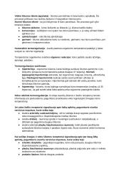 Homeostazė ir medžiagų šalinimas 3 puslapis