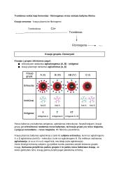 Kraujo sudėtis ir funkcijos (konspektas) 4 puslapis