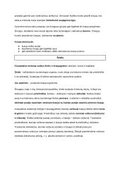 Kraujo sudėtis ir funkcijos (konspektas) 6 puslapis