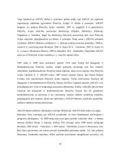 Regionų ekonominė integracija 19 puslapis