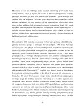 Regionų ekonominė integracija 20 puslapis