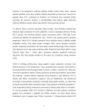 Regionų ekonominė integracija 7 puslapis