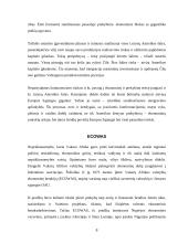 Regionų ekonominė integracija 8 puslapis