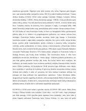 Regionų ekonominė integracija 9 puslapis