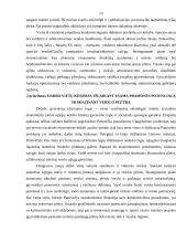 Regionų plėtros teorijos ir politika 13 puslapis