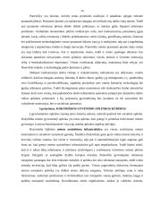 Regionų plėtros teorijos ir politika 14 puslapis