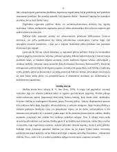 Regionų plėtros teorijos ir politika 4 puslapis