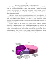 Regionų plėtros teorijos ir politika 7 puslapis