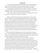 Regos analizatorius. Anatomija ir fiziologija 11 puslapis