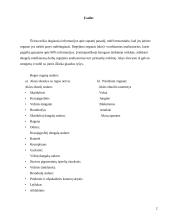 Regos analizatorius. Anatomija ir fiziologija 3 puslapis