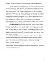 Regos analizatorius. Anatomija ir fiziologija 5 puslapis