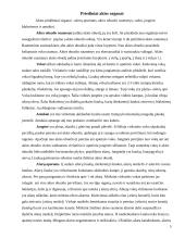 Regos analizatorius. Anatomija ir fiziologija 6 puslapis