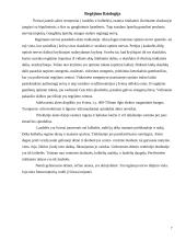 Regos analizatorius. Anatomija ir fiziologija 8 puslapis