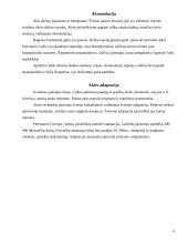 Regos analizatorius. Anatomija ir fiziologija 10 puslapis