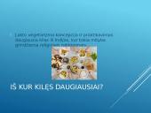 Lakto vegetarai 4 puslapis