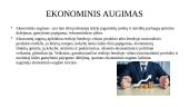 Ekonominio augimo teorija (skaidrės) 2 puslapis