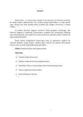 Referatas apie kriptovaliutas 2 puslapis