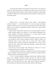 Reklamos funkcijos ir tikslai 2 puslapis