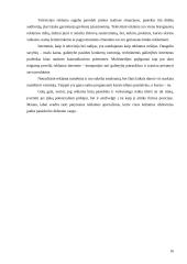 Reklamos funkcijos ir tikslai 16 puslapis