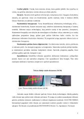 Reklamos funkcijos ir tikslai 5 puslapis