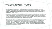 Prekių ženklo samprata ir funkcijos. Skaidrės