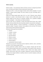 Reklama spaudoje 2 puslapis