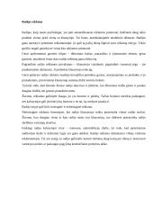 Reklama spaudoje 7 puslapis