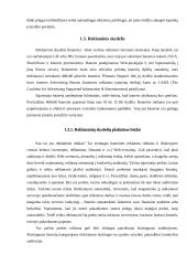 Internetinė reklama ir ryšiai su visuomene 4 puslapis