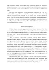 Internetinė reklama ir ryšiai su visuomene 6 puslapis