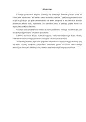 Internetinė reklama ir ryšiai su visuomene 9 puslapis