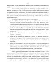 Reklama ir firmos įvaizdis 12 puslapis