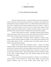 Reklama ir firmos įvaizdis 9 puslapis