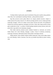 Reklama ir rėmimas: prekybos centras "IKI" 11 puslapis