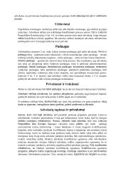 Rašto darbas apie advokatus 4 puslapis