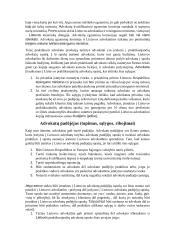 Rašto darbas apie advokatus 5 puslapis